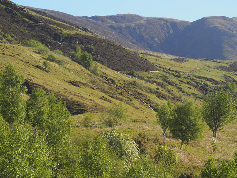 Beinn Bhuide and ascent route