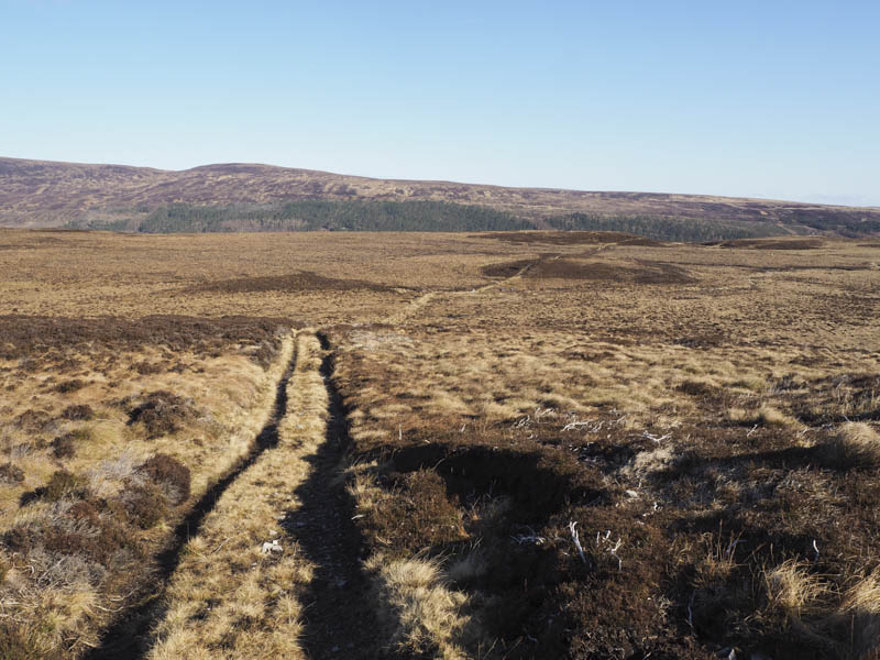 Looking back at track across featureless moorland