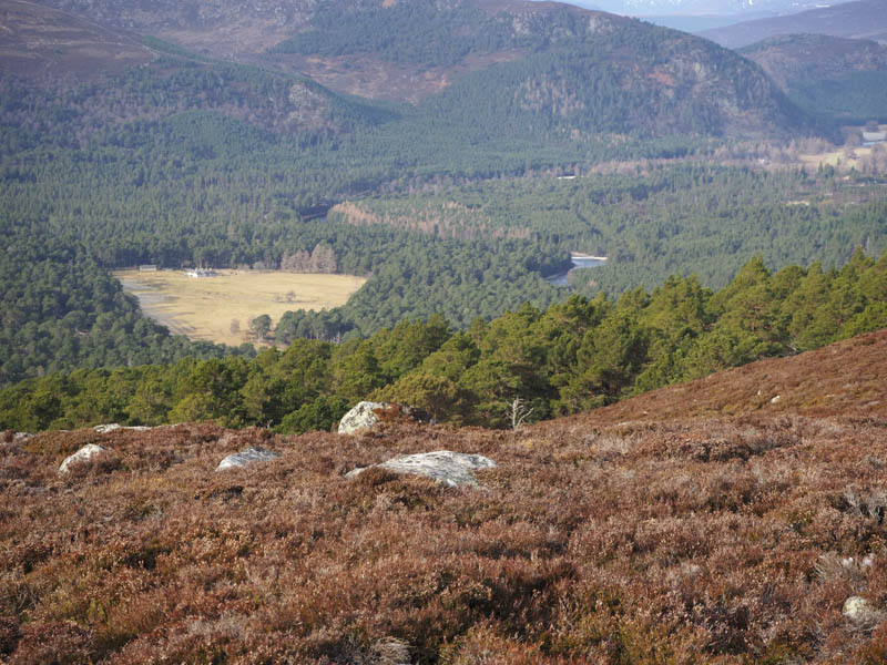 View back to start, Garbh Allt Shiel and footbridge over River Dee