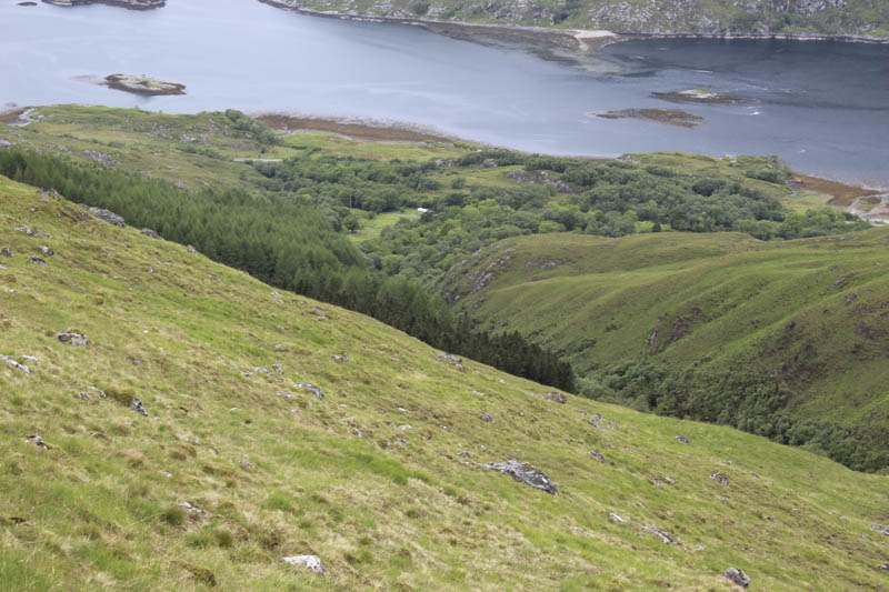 Ascent route from forest