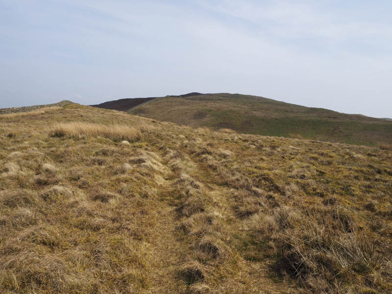 Lagganpark Hill and Wauk Hill