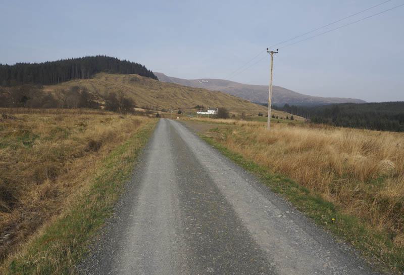 Track towards Fore Bush