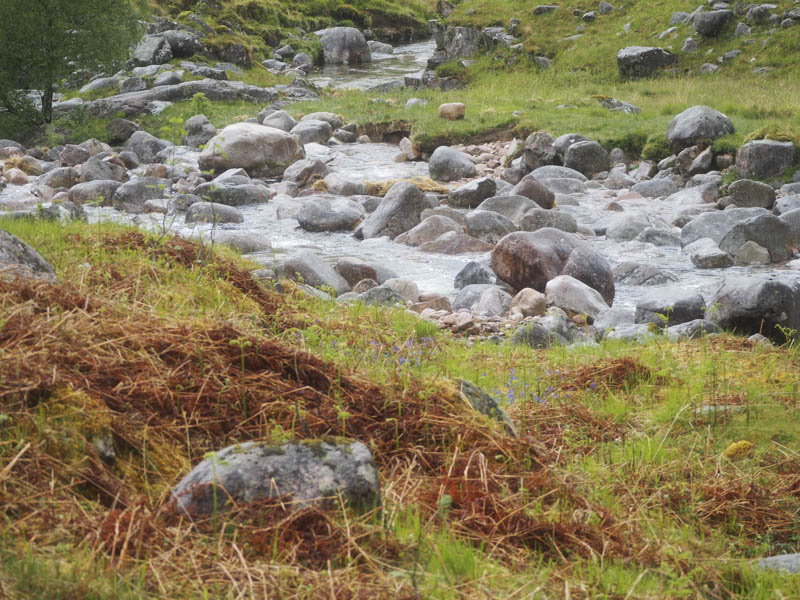 Fording the Allt Coire Ghiubhasan