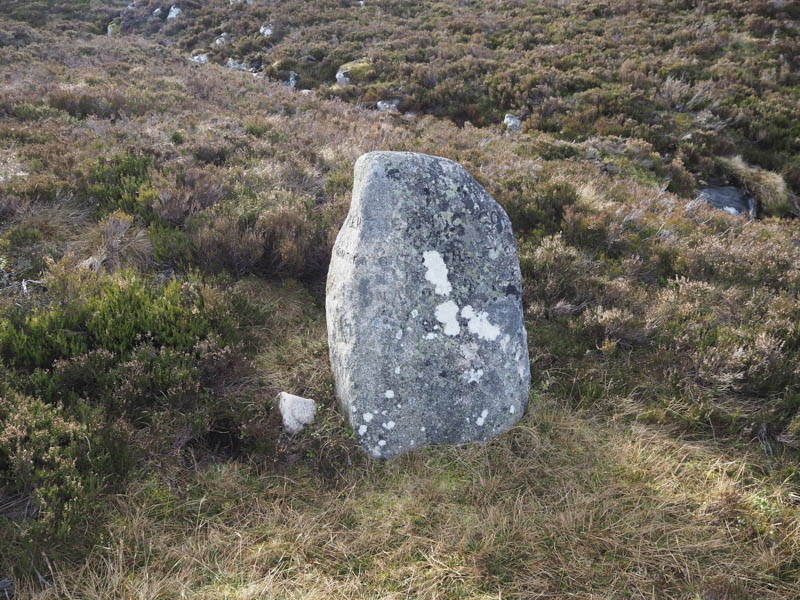The Prince's Stone