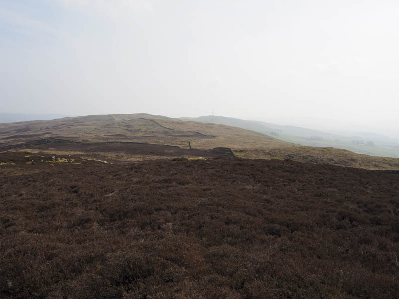 Barjarg Moor and The Mull