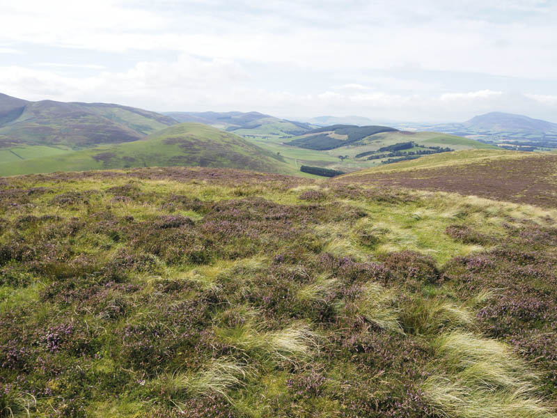 Towards Lamington Hill