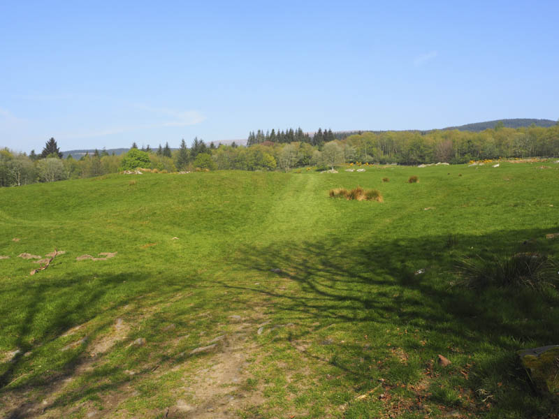 Path across field