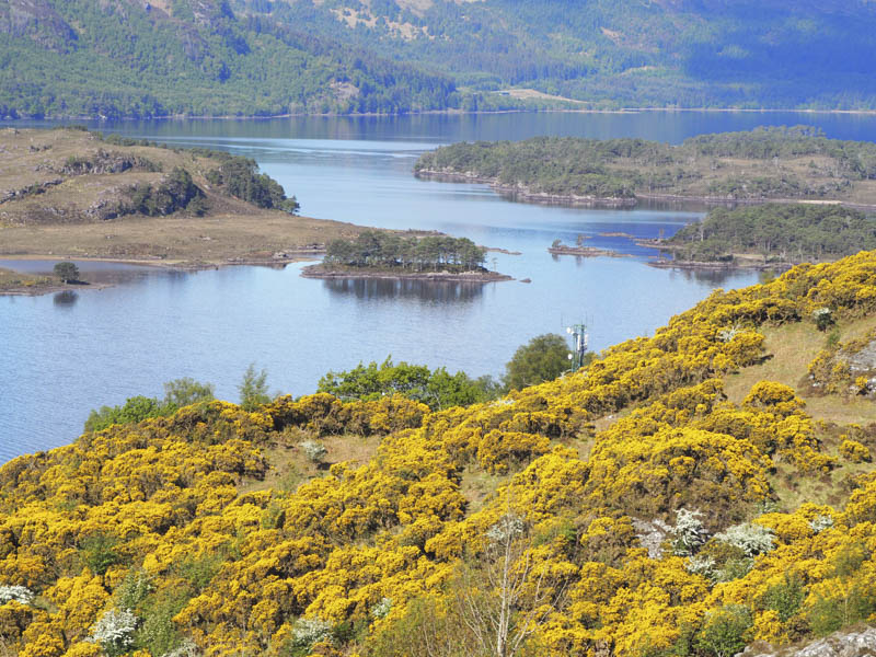 Loch Maree