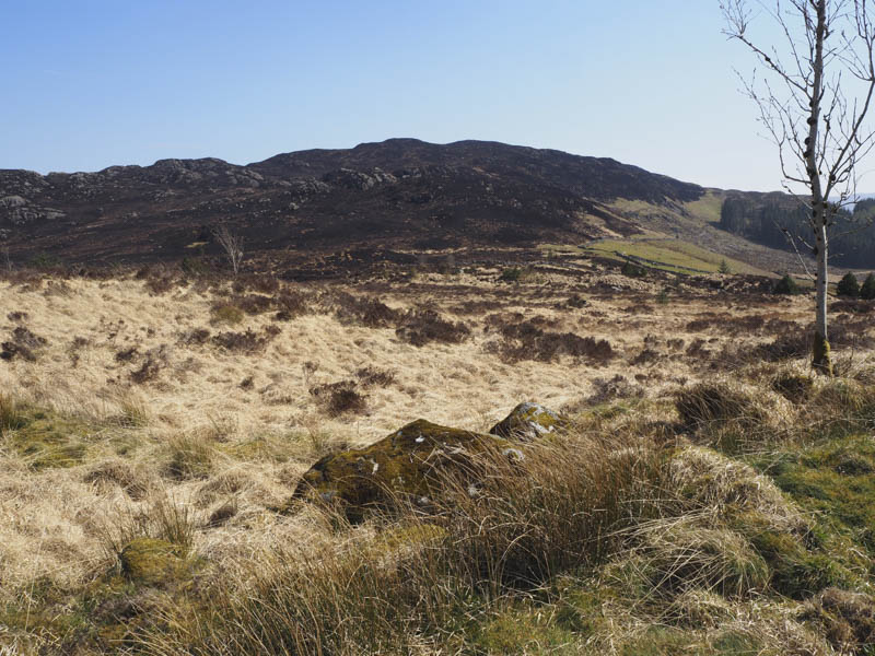 Craigbrock Hill