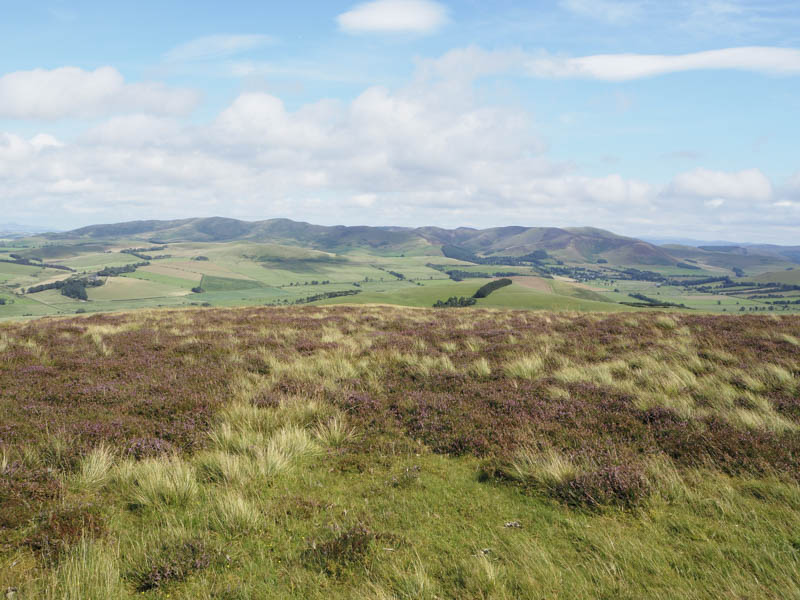 Broughton Heights