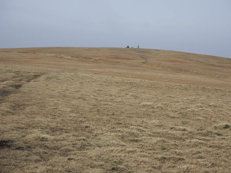 Summit, Corserine