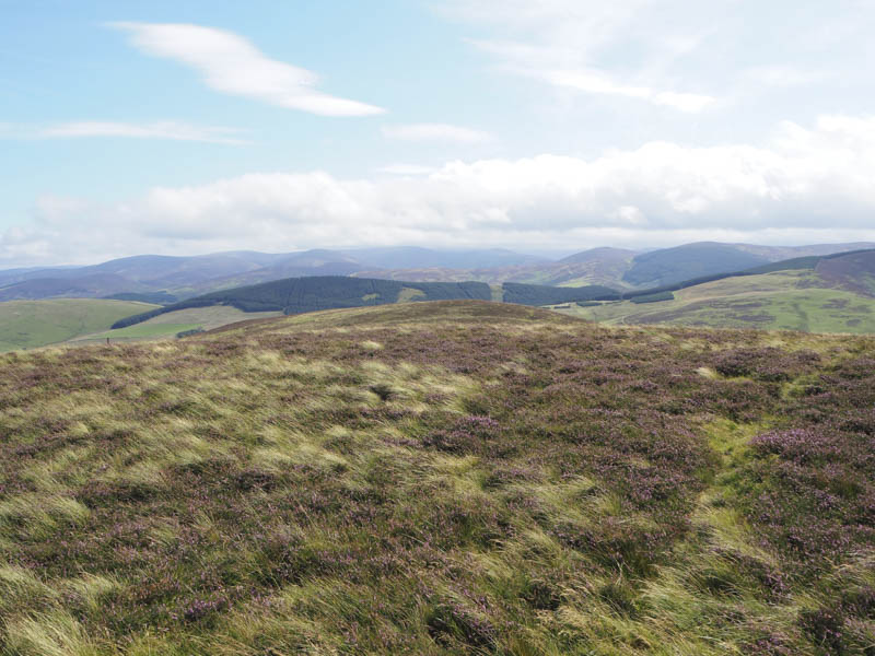 Towards Tweeddale