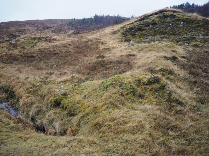 Start of walk up the side of deer fence