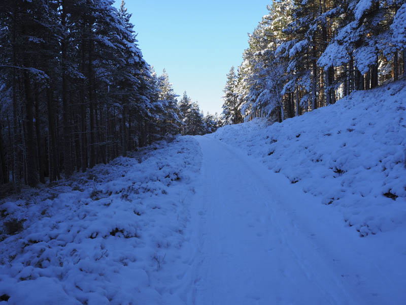 Track to the south of Balmoral Castle