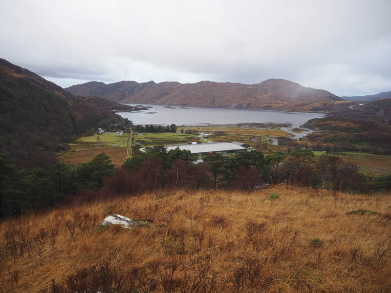 View back to start and Loch Ailort