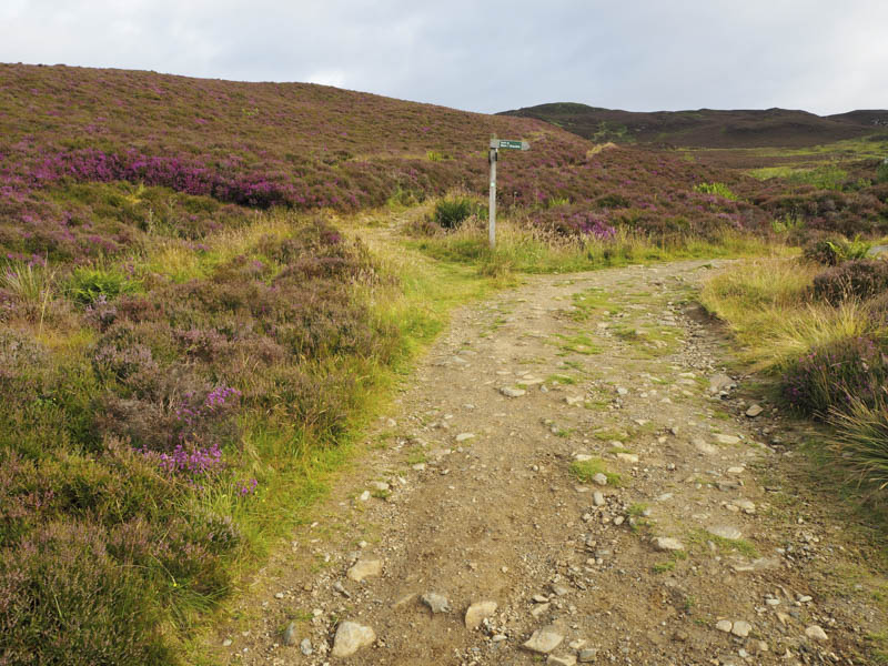 Junction of paths, went left, Bealach Path