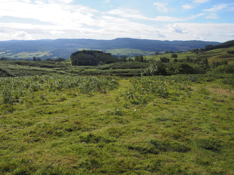 Route from Blackhill Farm