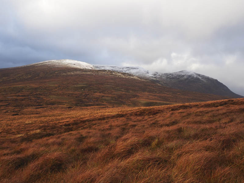 Meall Buidhe