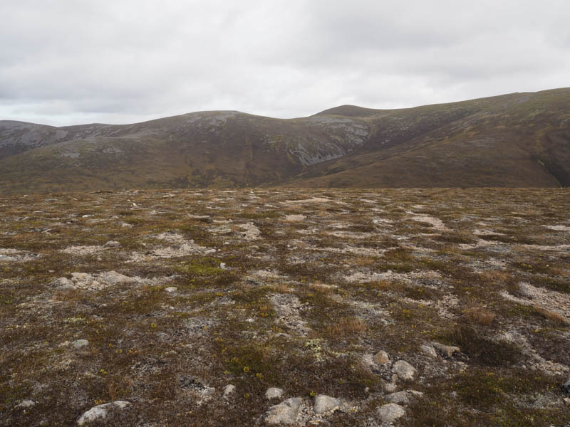 Meall Buidhe and Sgoran Dubh Mor