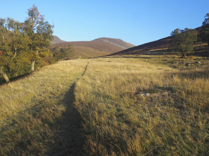 Path through grass. Beinn Mheadhonach beyond