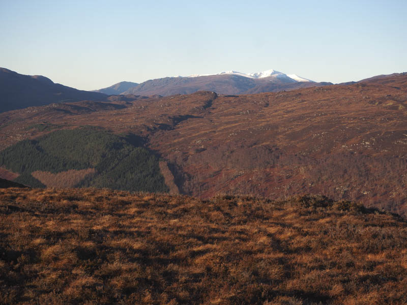 Cannich Hills in the distance
