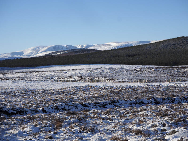 Glen Gelder. Beinn a' Bhuird and Ben Avon in the distance