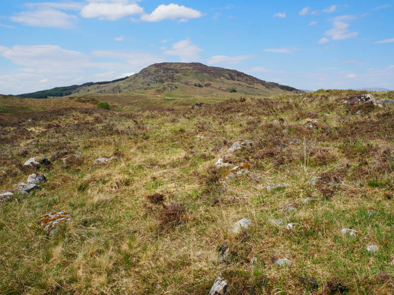 Meall Chomraidh