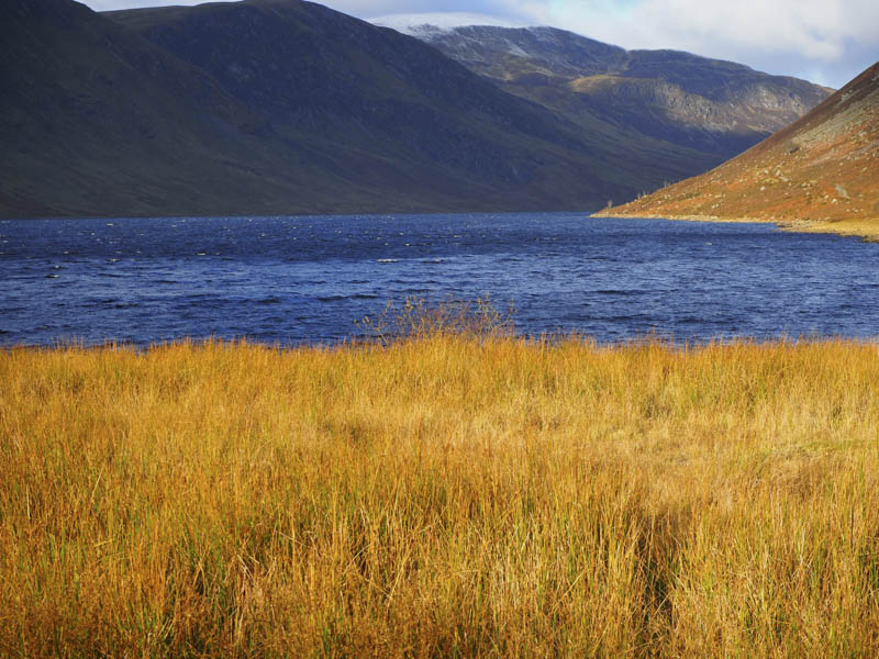 Choppy Loch Turret