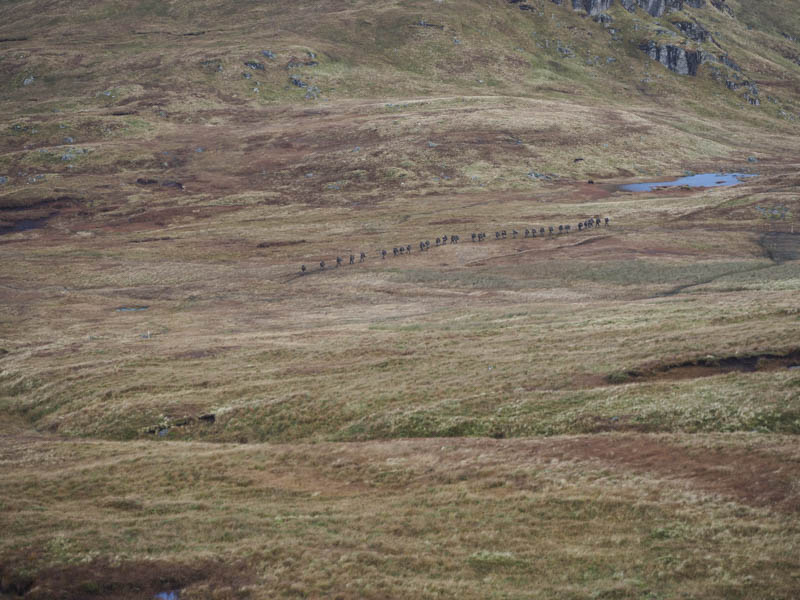 Troops on The Cowal Way