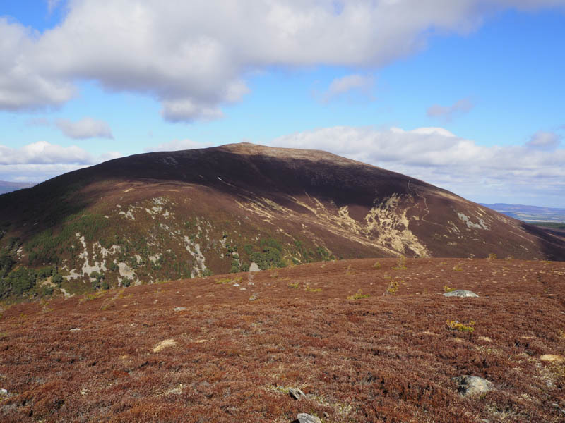 Meall a'Bhuachaille