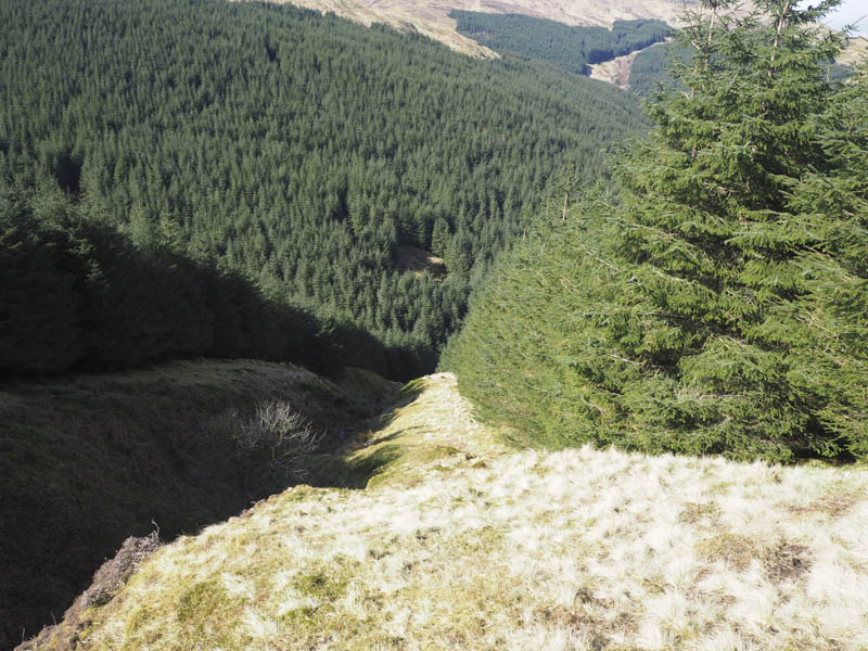 Gap in trees narrows