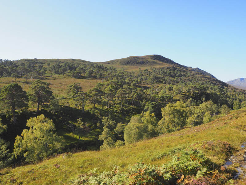 Beinn a' Mheadhoin