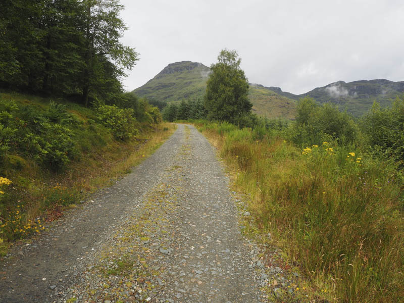 Route through forest, Beinn Lochain beyond
