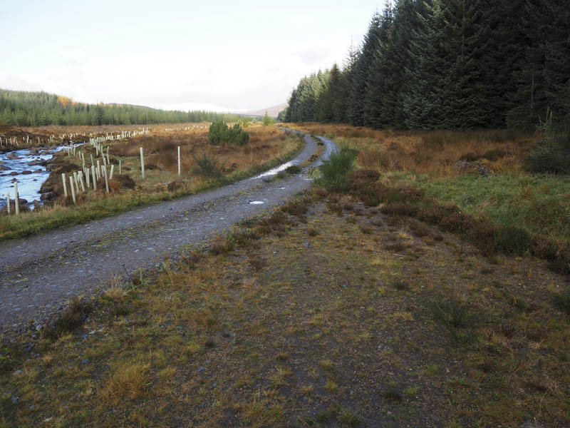 Track up Strath Rannoch