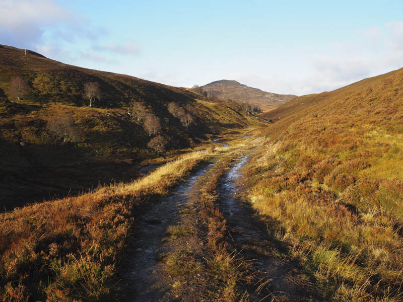 Track up glen. Meall nan Eagan in the distance