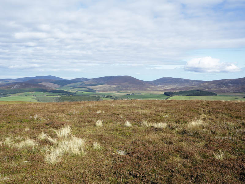 Ben Rinnes, Corryhabbie Hill and Cook's Cairn