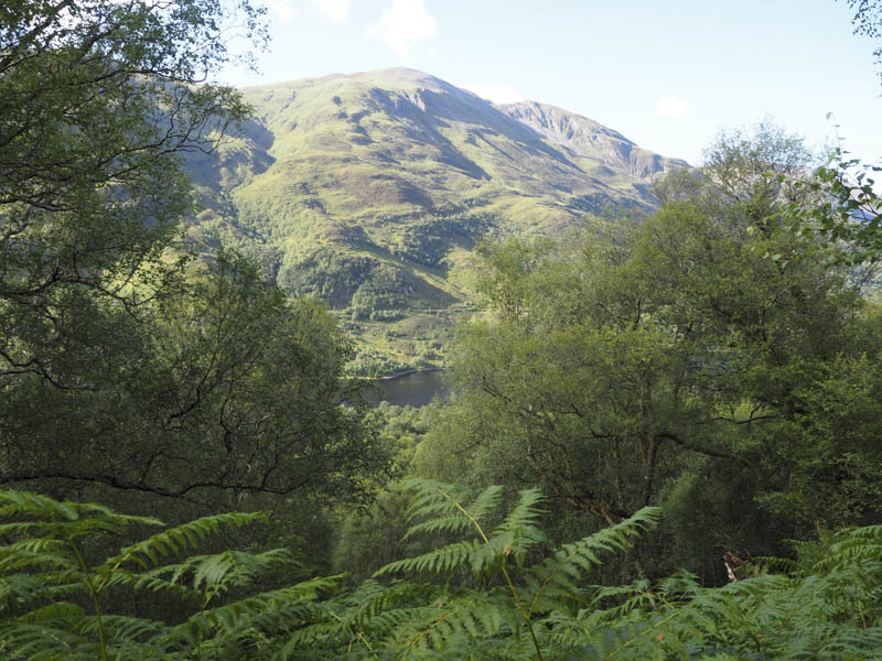 Garbh Bheinn from West Highland Way