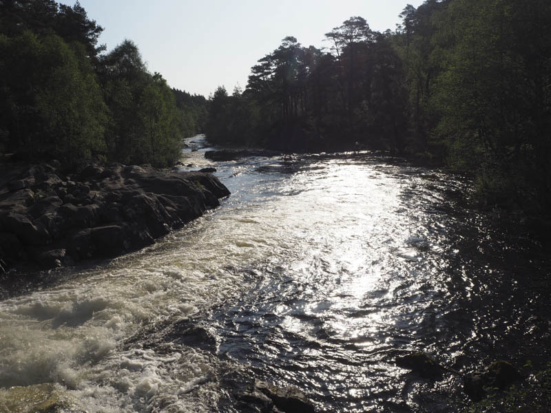 River Affric looking east from Dog Falls