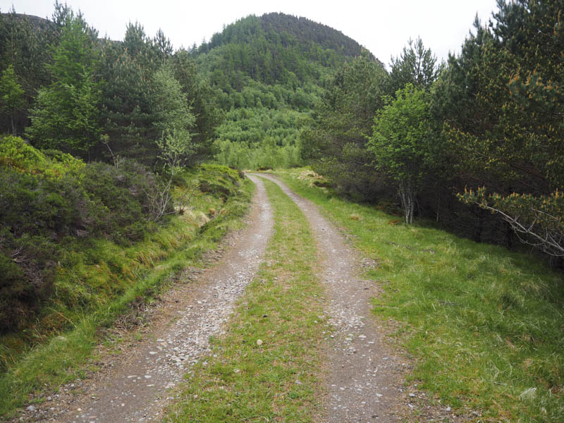 Route through forest. Meall an t-Sithein beyond