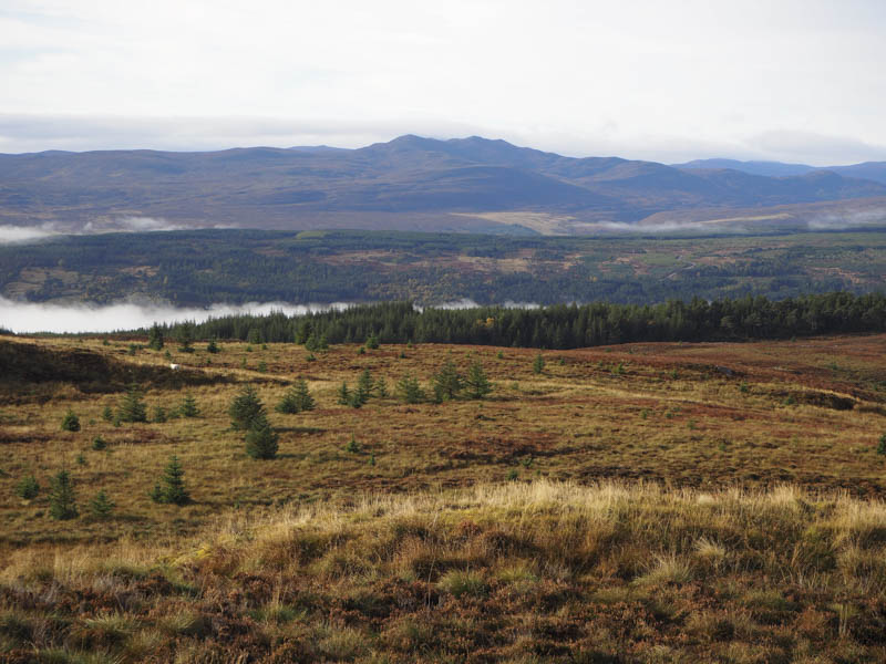 Towards the Strathcarron Hills