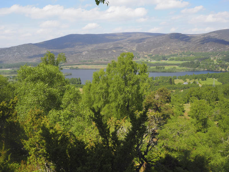 Across Loch Alvie to Geal-charn Mor