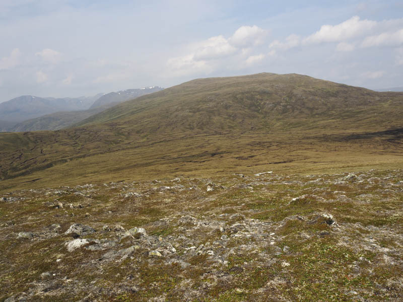 Hump, Doire Tana. Glen Affric Munros beyond