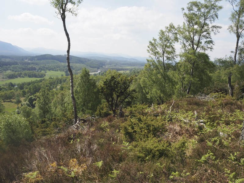 River Spey