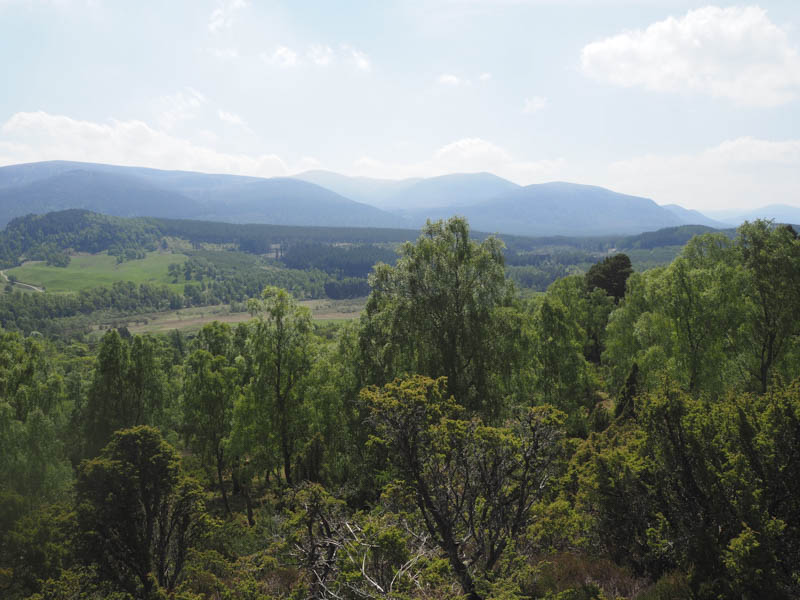 Glen Feshie Hills