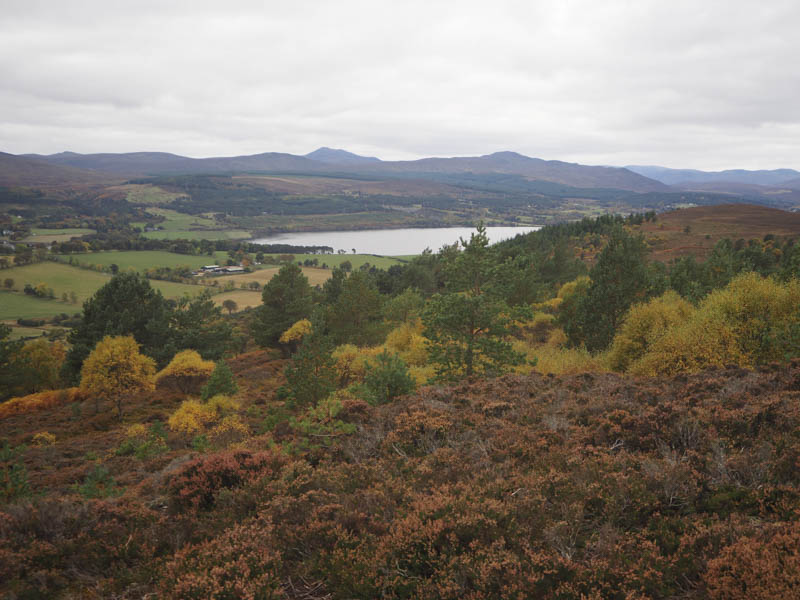 Dornoch Firth. Strathcarron Hills beyond