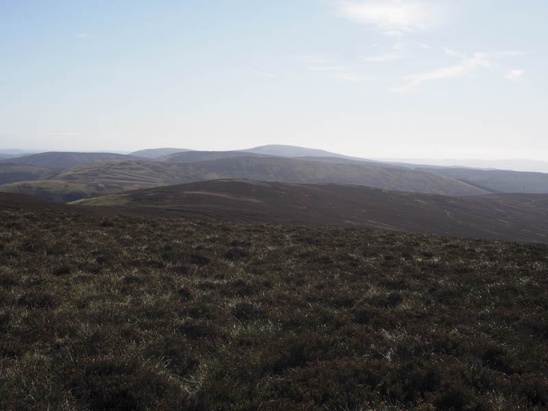 The High Tree, Eskielawn and Cowharn