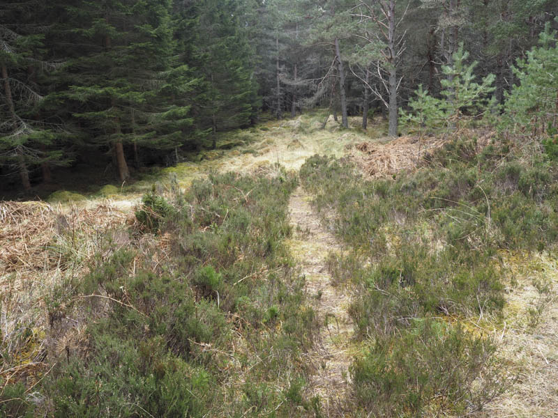 Path to the north of The Crofts of Cairngorm