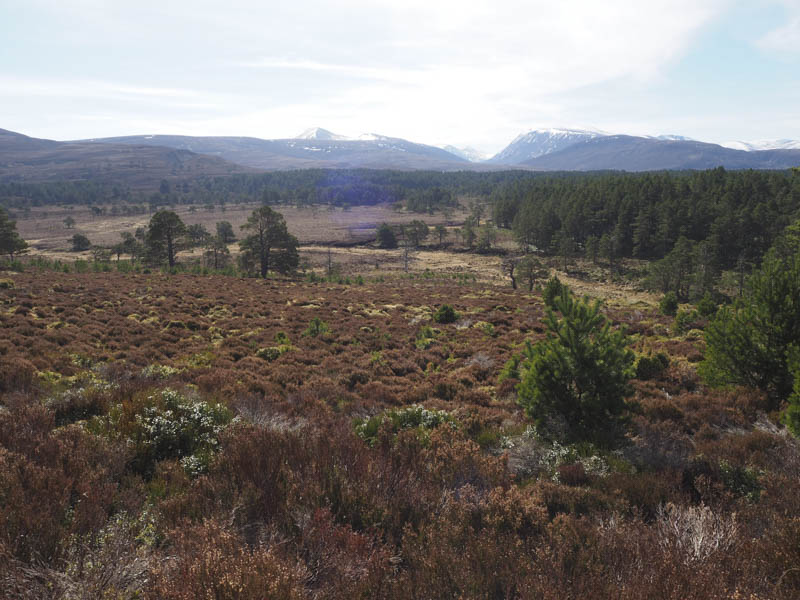 Bynack More and Cairn Gorm