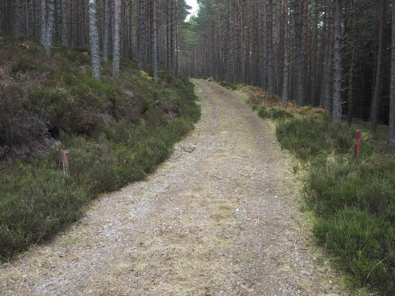 Track leading to col between Craigmore and Carn na Loinne
