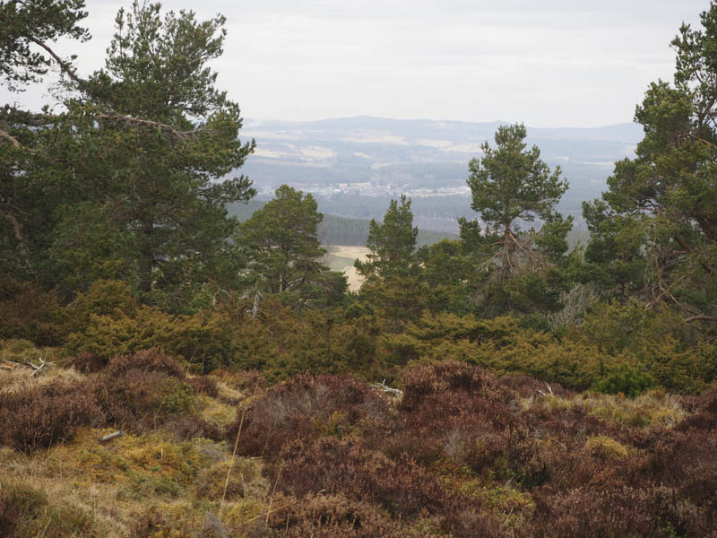 Grantown on Spey